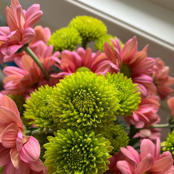 Meet your Posher, Miranda - Picture 1 of 1